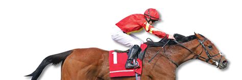 drf bets|Iba pa.